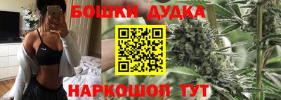 СК Пугачёв