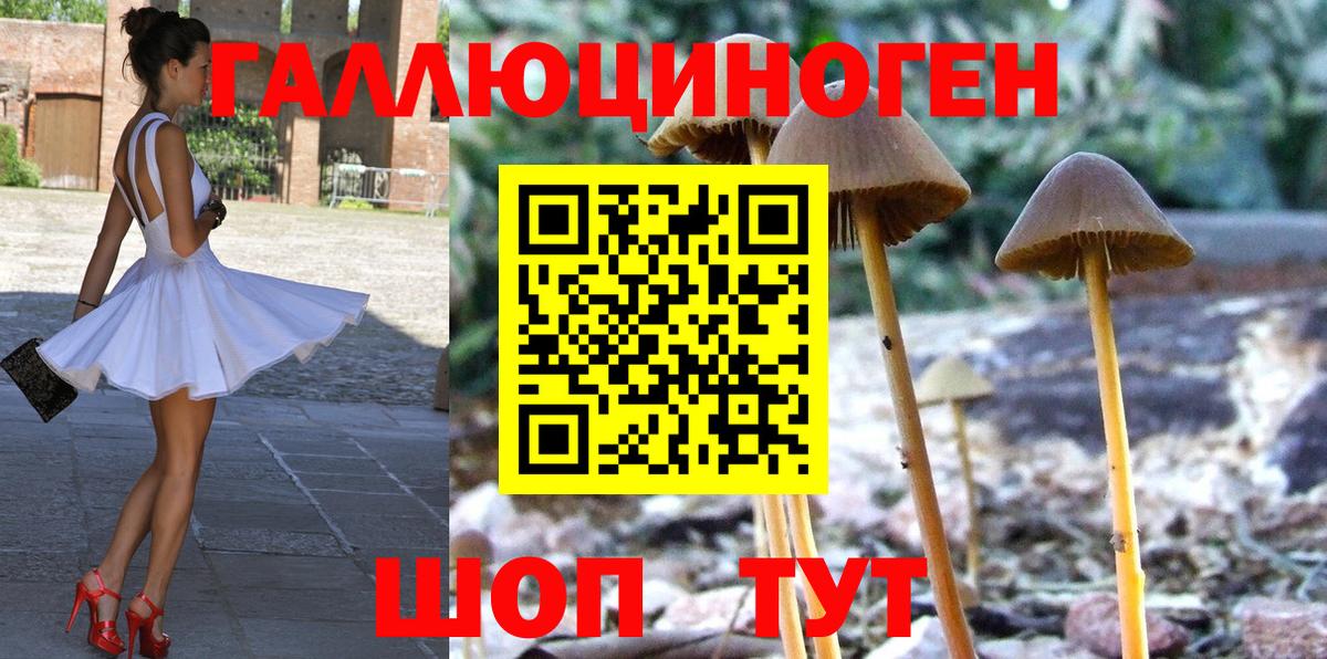 Подольск  Галлюциногенные грибы Psilocybine cubensis  Вход с VPN 