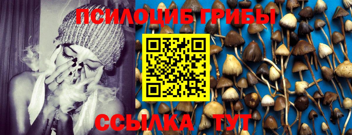 Псилоцибиновые грибы Magic Shrooms Подольск